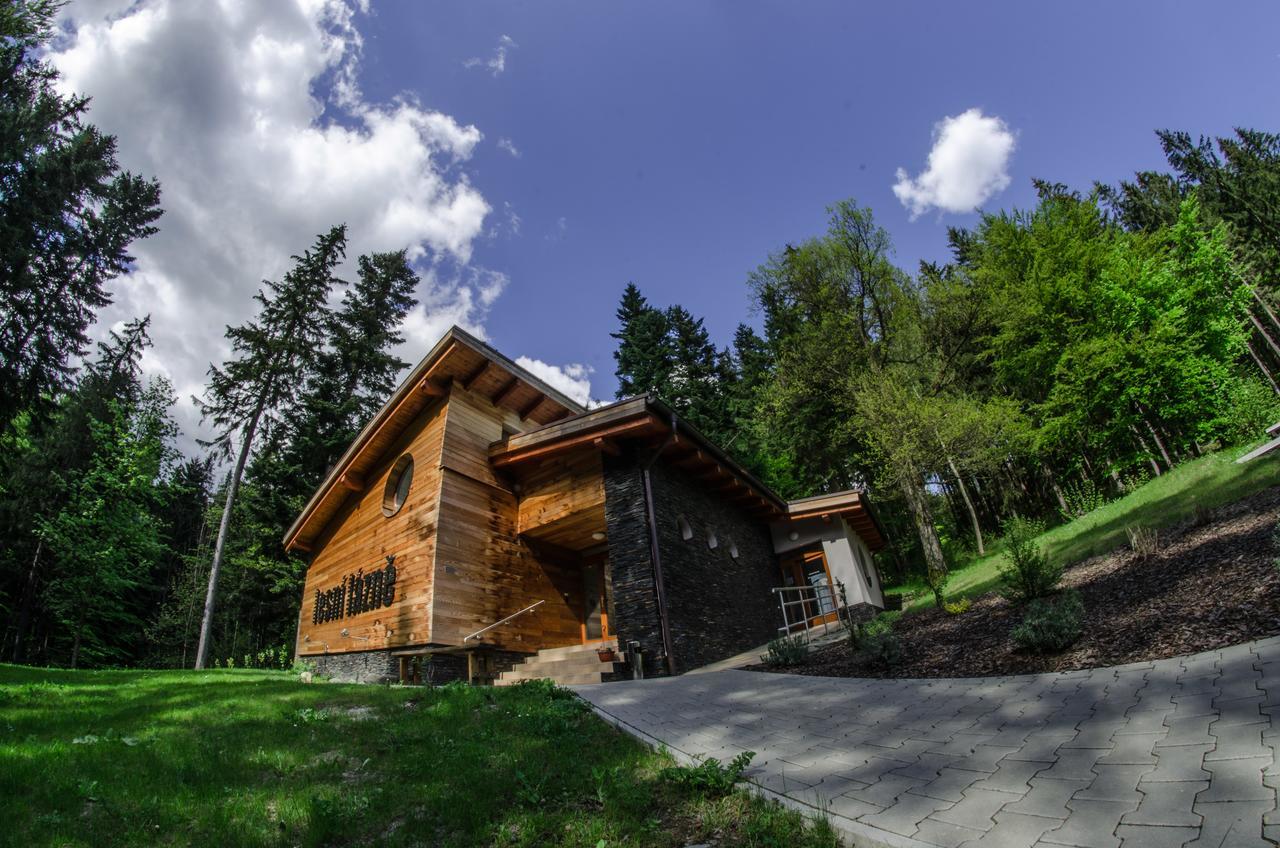 Čeladná Horsky Hotel Celadenka / Mountain Resort المظهر الخارجي الصورة
