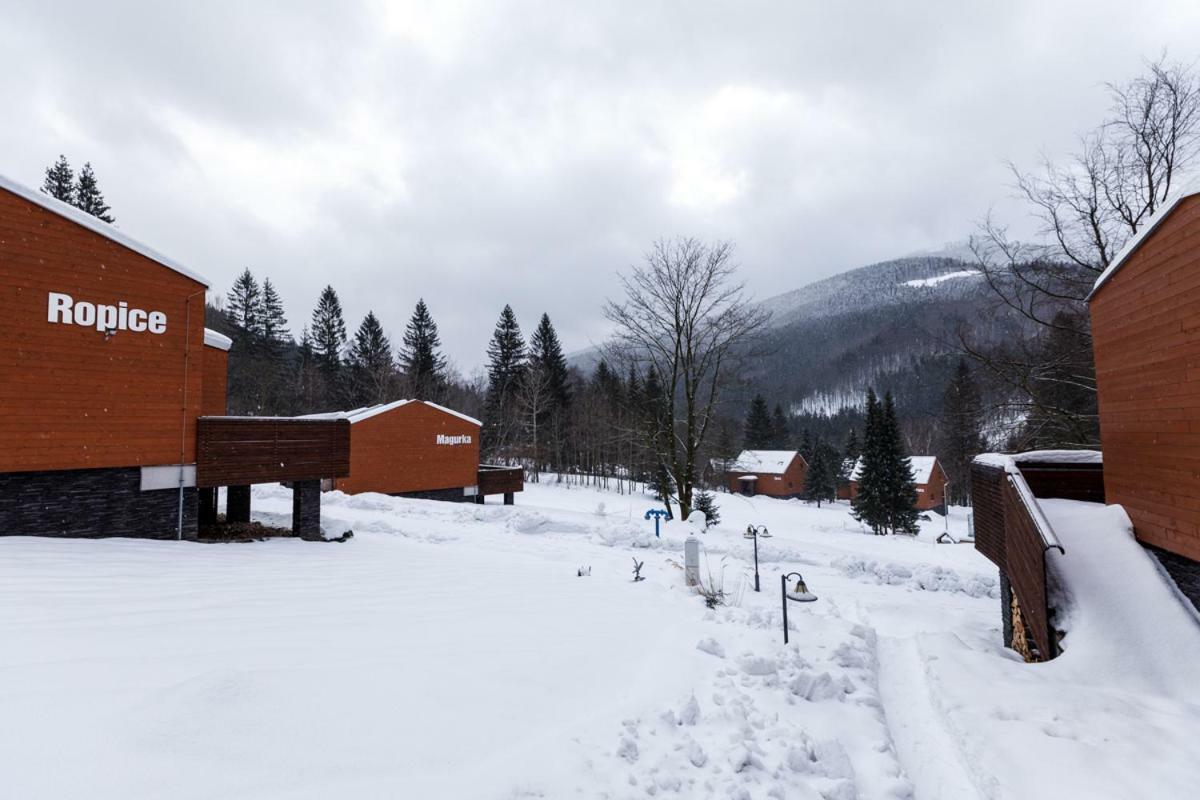 Čeladná Horsky Hotel Celadenka / Mountain Resort المظهر الخارجي الصورة